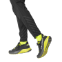 Leggings da uomo Dynafit Trail Reflective Pnt M