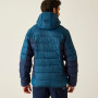 Giacca da uomo Regatta Hooded Dalent
