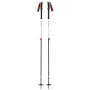 Bastoncini da skialp Black Diamond Expedition 2