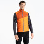Gilet da uomo Dare 2b Touring Gilet