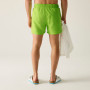 Costume da bagno da uomo Regatta Mawson Swim Shorts III
