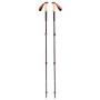Bastoncini da trekking Black Diamond Trail Cork Trekking Poles