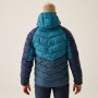Giacca da uomo Regatta Hooded Dalent