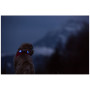 Luce per cani Curli Luumi LED