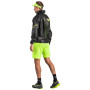 Scarpe da corsa da uomo Dynafit Ultra 100 Gtx