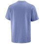 Maglietta da uomo Salomon Wild Rays Label SS Tee