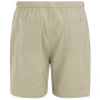 Pantaloncini da uomo Regatta Hadlin Shorts