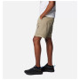 Pantaloncini da uomo Columbia Silver Ridge™ Utility Cargo Short