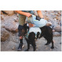 Pettorina per cane Ruffwear Palisades™ Pack