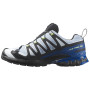 Scarpe da corsa da uomo Salomon Xa Pro 3D V9 GTX Icon