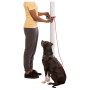 Guinzaglio per cane Ruffwear Hitch Hiker™ Leash