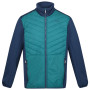 Giacca invernale da uomo Regatta ClumberIII Hybrid blu PacifG/Admrl