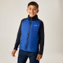 Giacca da bambino Regatta Boys Trekktain 3-in-1 II Nvy/OlympBlu