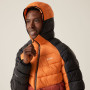 Giacca da uomo Regatta Hooded Dalent