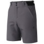 Pantaloncini da uomo Dare 2b Torrek II Short
