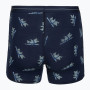 Boxer sportivi da uomo Icebreaker Men M 150 Anatomica Boxers BearTourAOP