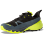 Scarpe da corsa da uomo Dynafit Traverse 2 Gtx