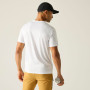 Maglietta da uomo Regatta Fingal Graphic T-Shirt