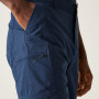 Pantaloncini da uomo Regatta Dalry Short