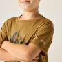 Maglietta da bambino Regatta Alvarado Wood Brown