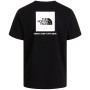 Maglietta da uomo The North Face M Evolution Box Nse Regular Short Sleeve