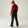 Pantaloni da uomo Dare 2b Achieve III Insulated Pant