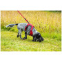 Pettorina per cane Mountain Paws Dog Harness