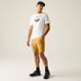 Maglietta da uomo Regatta Fingal Graphic T-Shirt