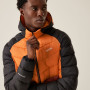 Giacca da uomo Regatta Hooded Dalent