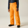 Pantaloni da sci per bambini Dare 2b Outmove III Insulated Pant ElectricOrng