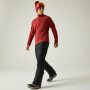 Pantaloni da uomo Dare 2b Achieve III Insulated Pant