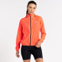 Giacca da donna Dare 2b Rebound Windshell