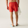 Costume da bagno da uomo Regatta Mawson Swim Shorts III