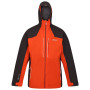 Giacca da uomo Regatta Raddick arancione RustyOra/Ash
