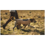 Cappottini per cani Ruffwear Timberline Fuse™ Fleece Vest