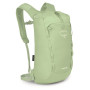 Colore: verde chiaro