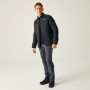 Giacca da uomo Regatta Hillpack II