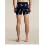 Boxer sportivi da uomo Icebreaker Men M 150 Anatomica Boxers BearTourAOP