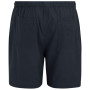 Pantaloncini da uomo Regatta Hadlin Shorts