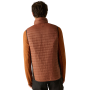 Gilet da uomo Regatta Andreson Hybrid B/W