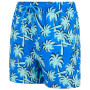 Costume da bagno per bambini Regatta Skander SBluIGrPalm