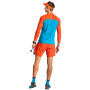 Maglietta da uomo Dynafit Alpine Pro M L/S Tee