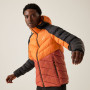 Giacca da uomo Regatta Hooded Dalent