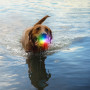 Giocattolo per cane Nite Ize Glowstreak Rechargeable Led Ball