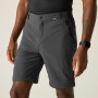 Pantaloni da uomo Regatta Anti-Insect Travel Light Z/O Trousers