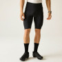 Pantaloncini da uomo Dare 2b Ultra short