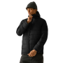 Giacca trapuntata da uomo Regatta Frankie Padded