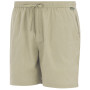 Pantaloncini da uomo Regatta Hadlin Shorts