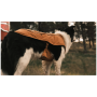 Cappottini per cani Ruffwear Overcoat Fuse™ Insulated Vest