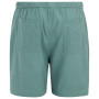 Pantaloncini da uomo Regatta Hadlin Shorts